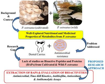 Exploring time-killing and biofilm inhibition potential of bioactive proteins extracted from two varieties of Pleurotus ostreatus